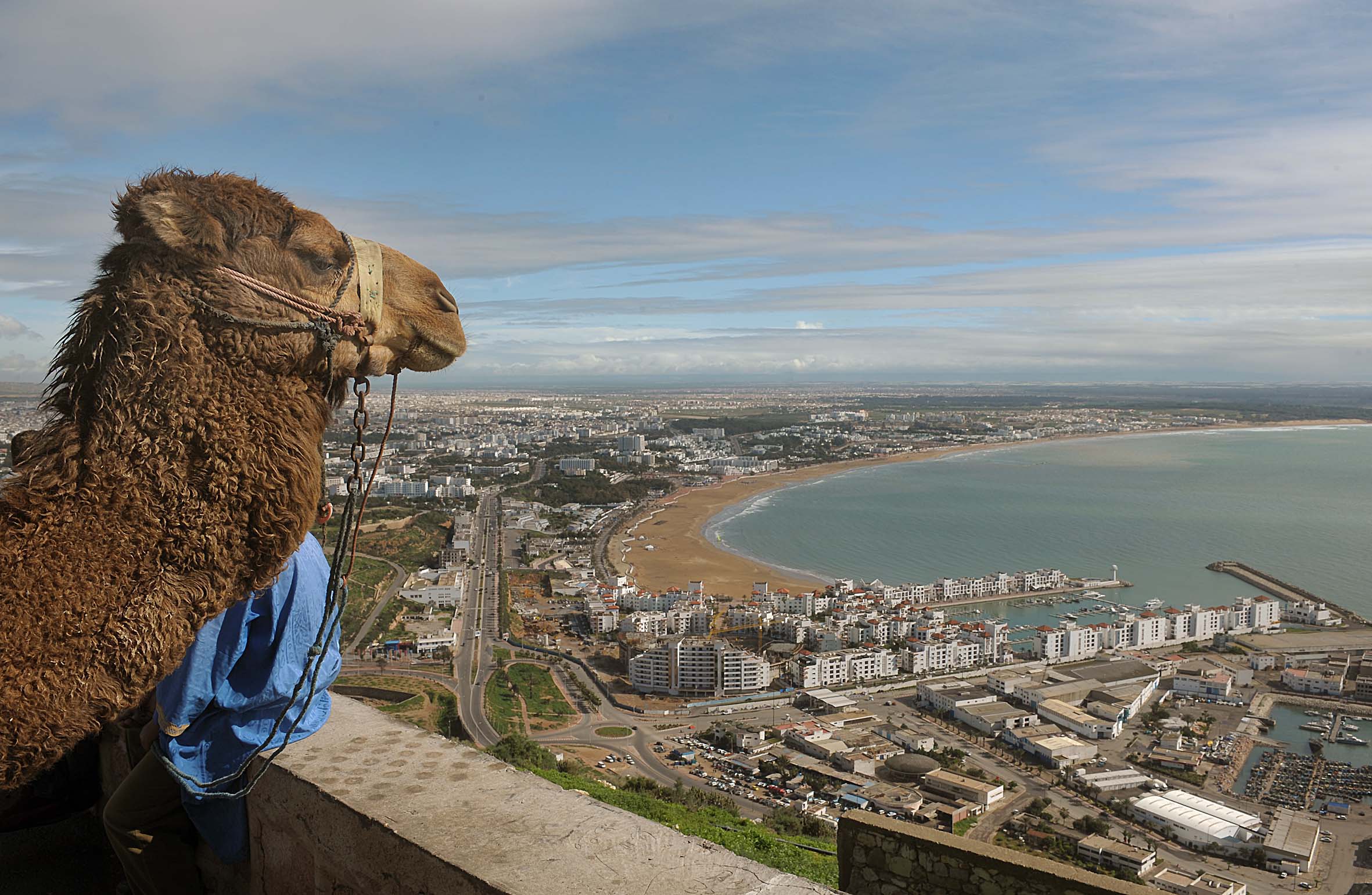 Maroc Agadir_2551