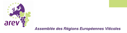 AREV Logo