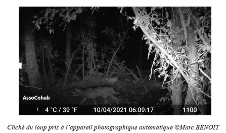 Capture d’écran 2021-05-10 à 18.51.10