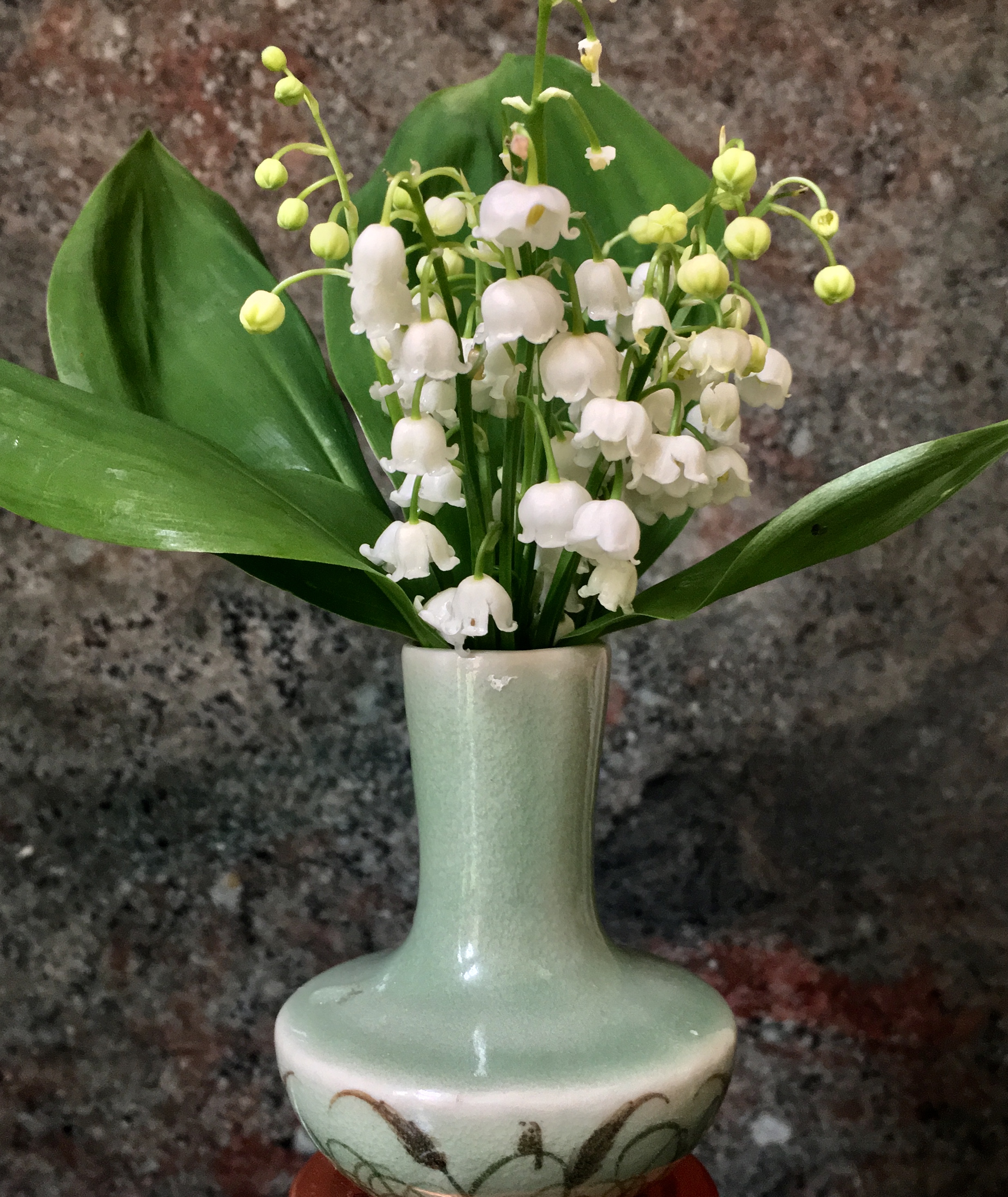 Muguet ©Godet_3863