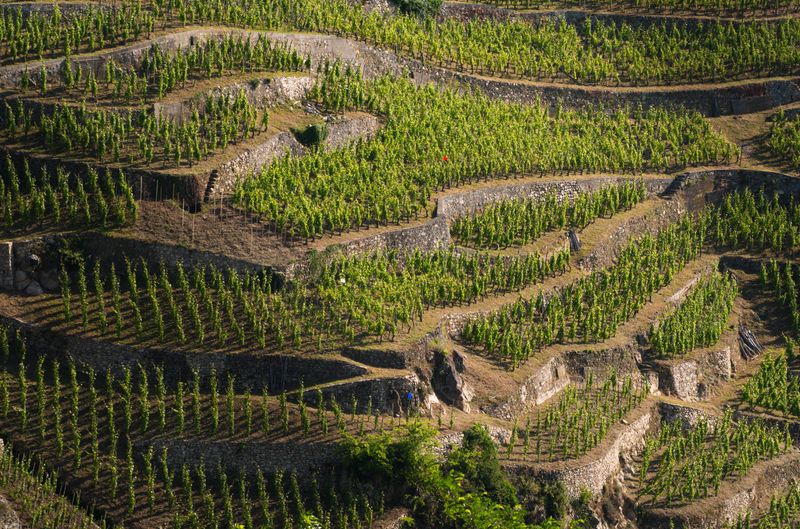 Fascinant Week-End Vignobles & Découvertes en Condrieu – Côte-Rôtie (24 et 25 octobre 2015) !